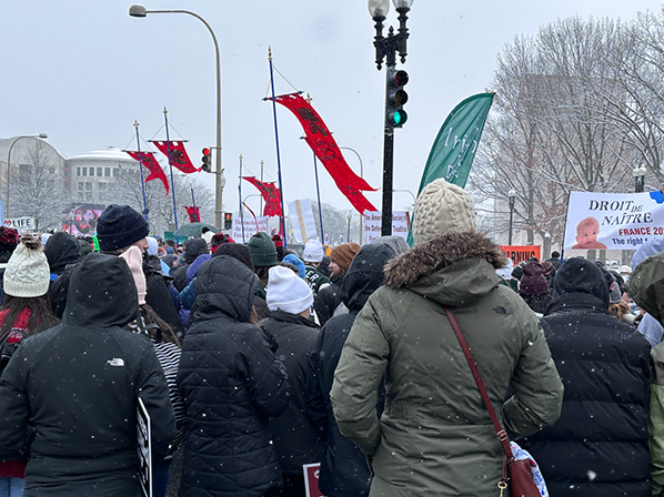 %_tempFileNameMFL_2024_154%