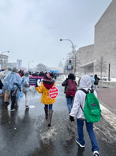 %_tempFileNameMFL_2024_181%