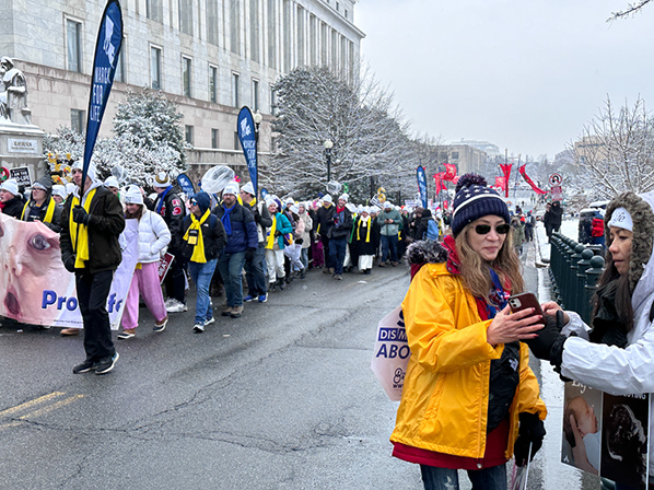 %_tempFileNameMFL_2024_195%