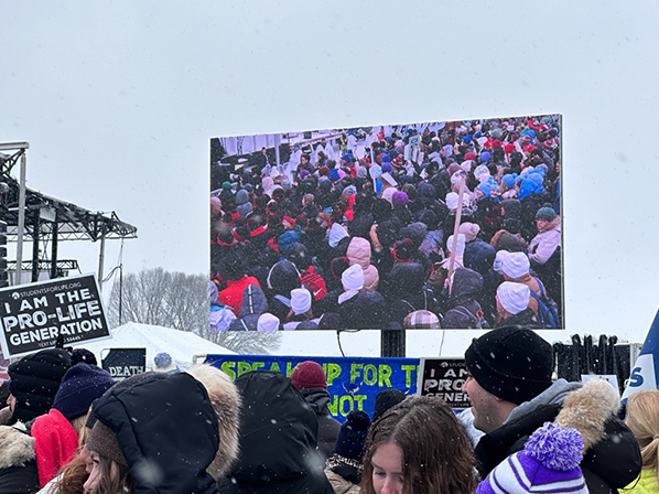 %_tempFileNameMFL_2024_97%